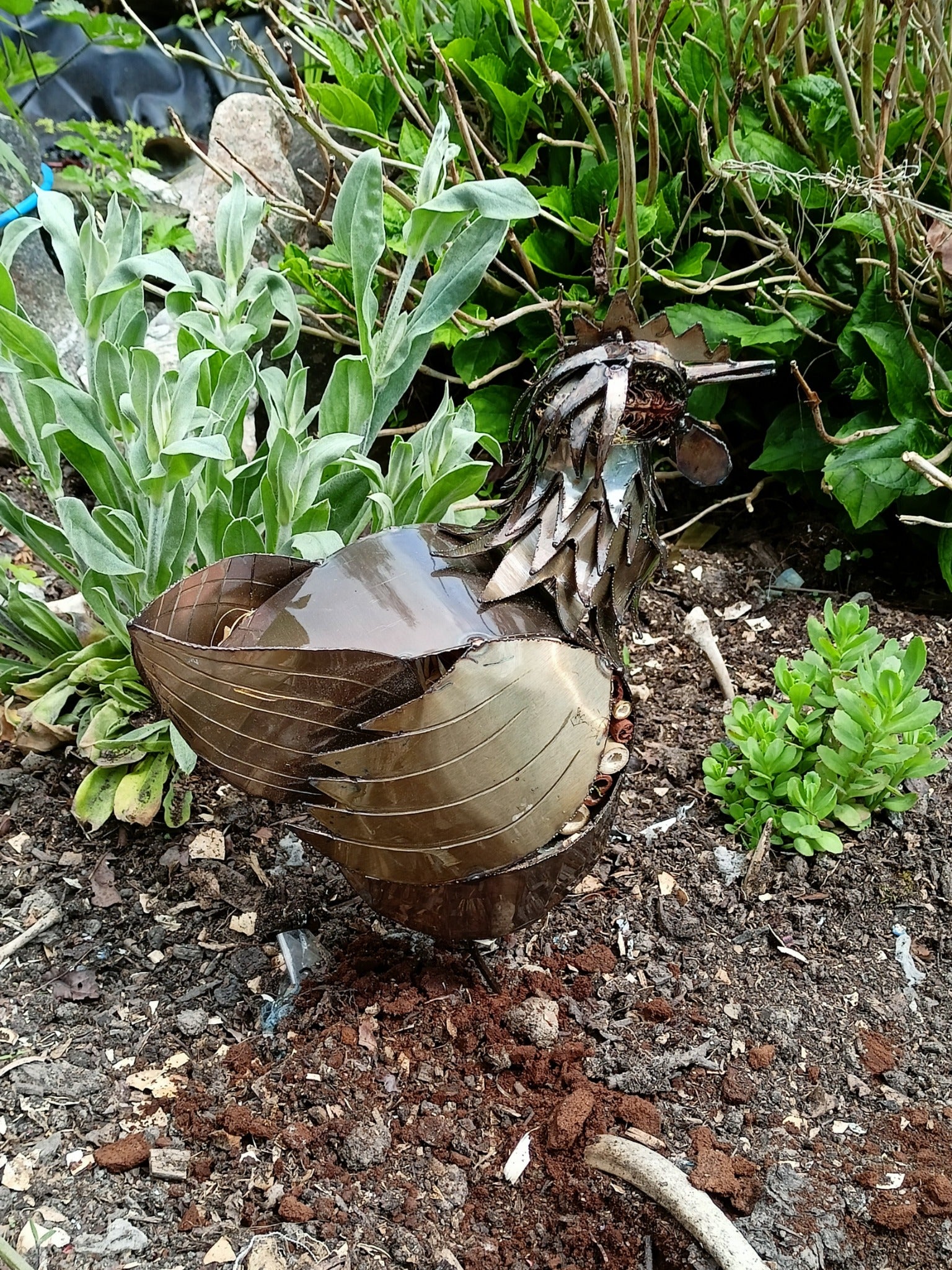 Stainless steel chicken