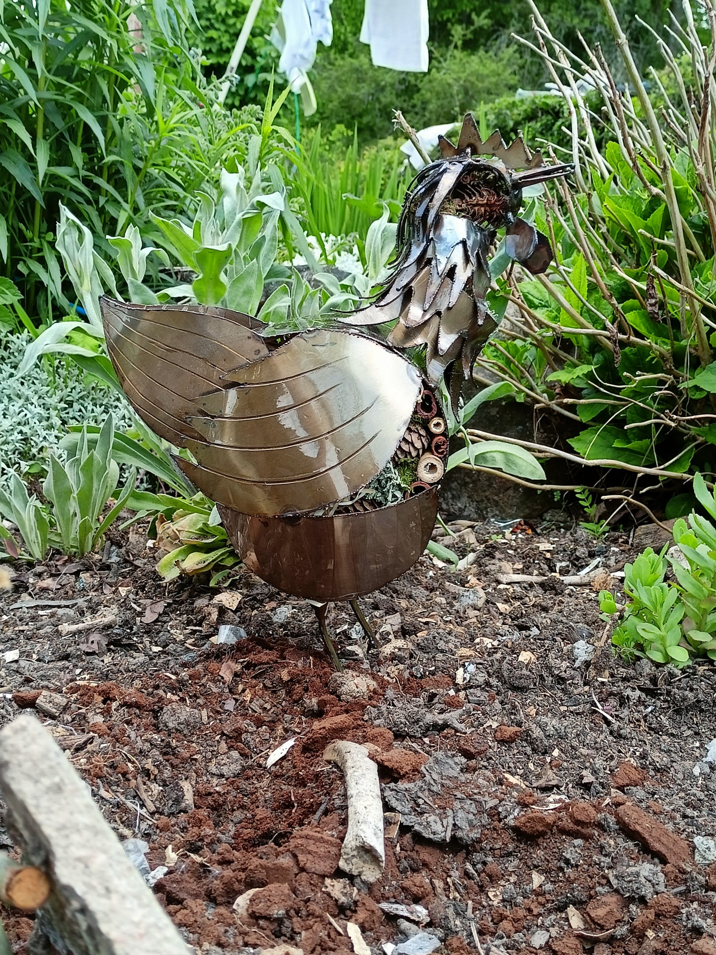 Paula the Chicken - Air