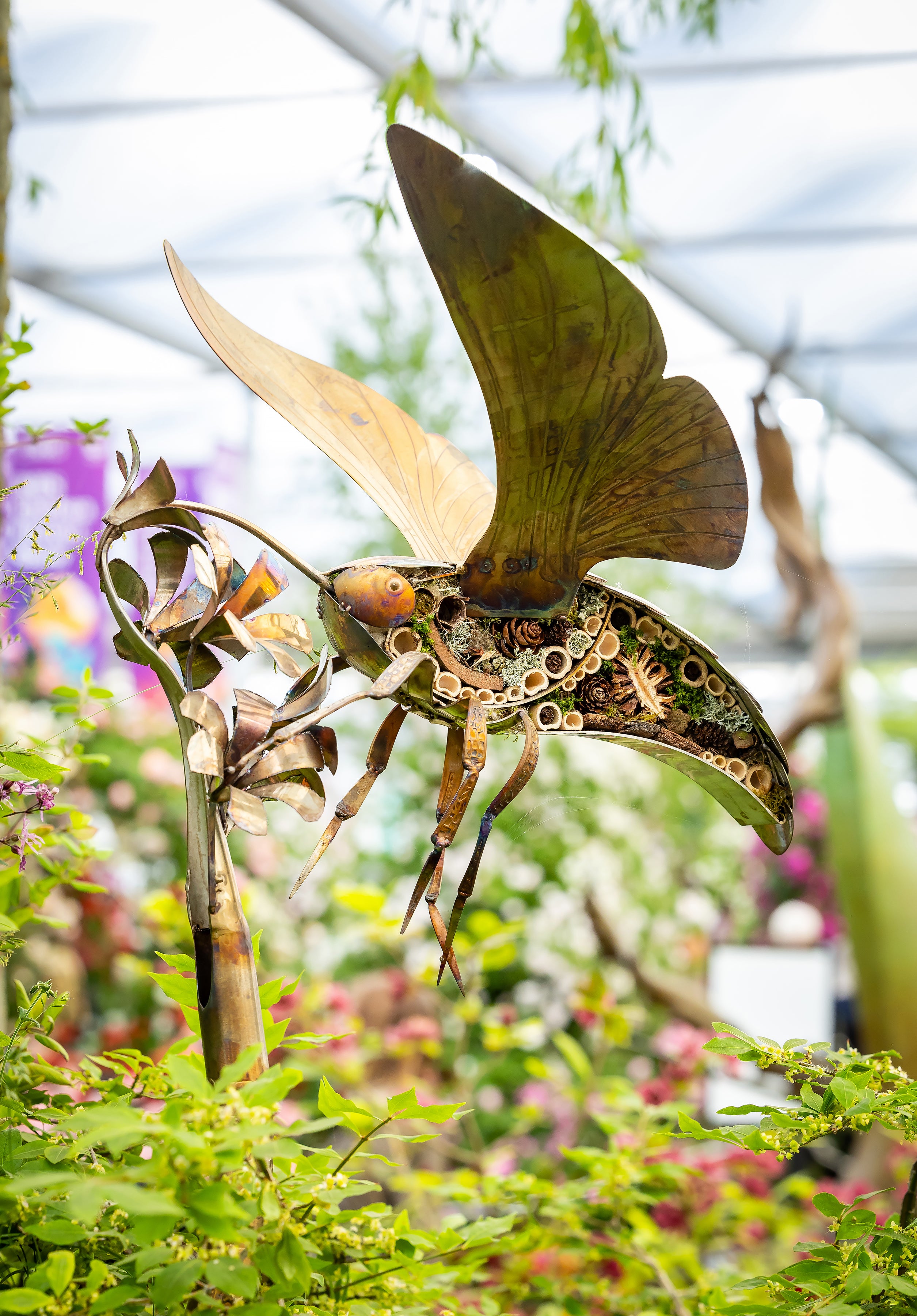 Hummingbird hawk moth sculpture