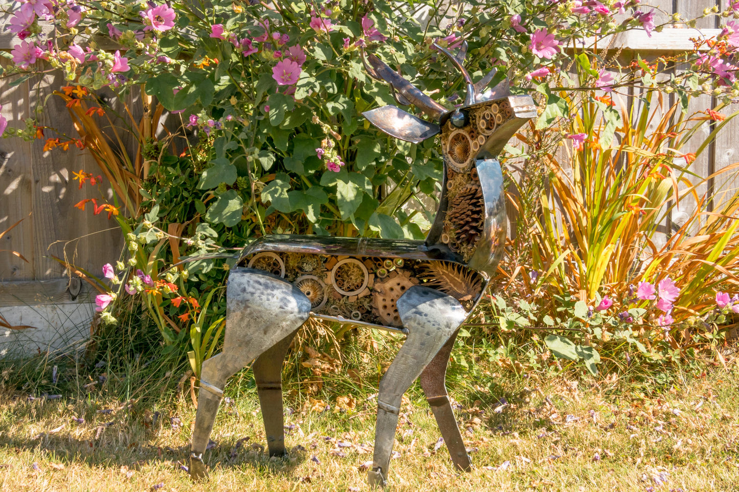 Small Deer - Land