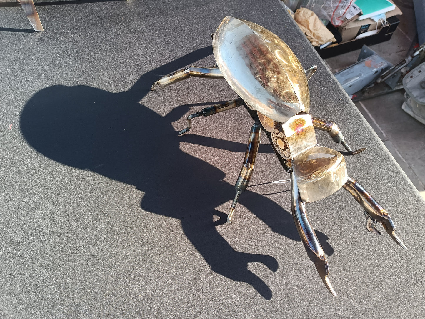 Lucas the Stag Beetle - Land