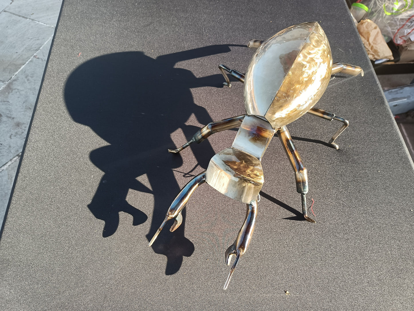 Lucas the Stag Beetle - Land