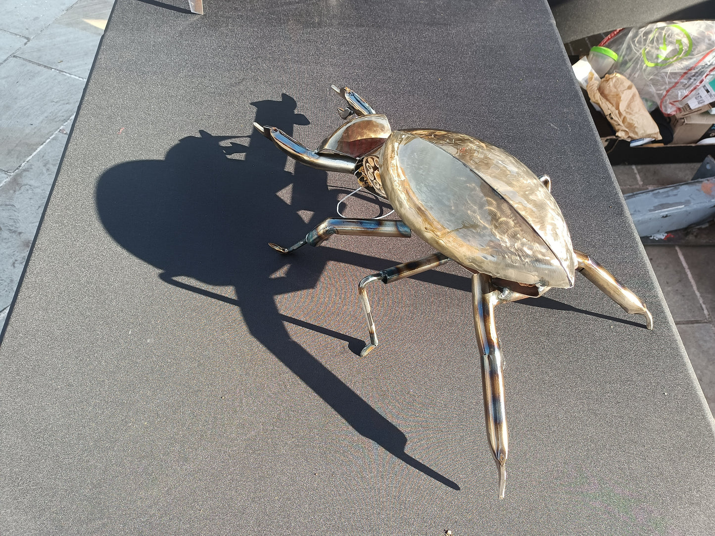 Lucas the Stag Beetle - Land