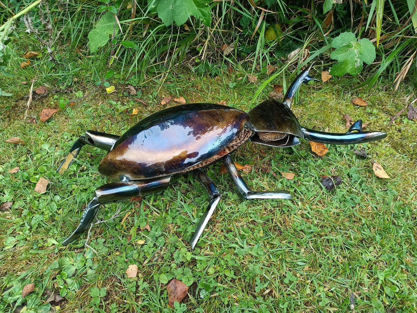 Lucas the Stag Beetle - Land