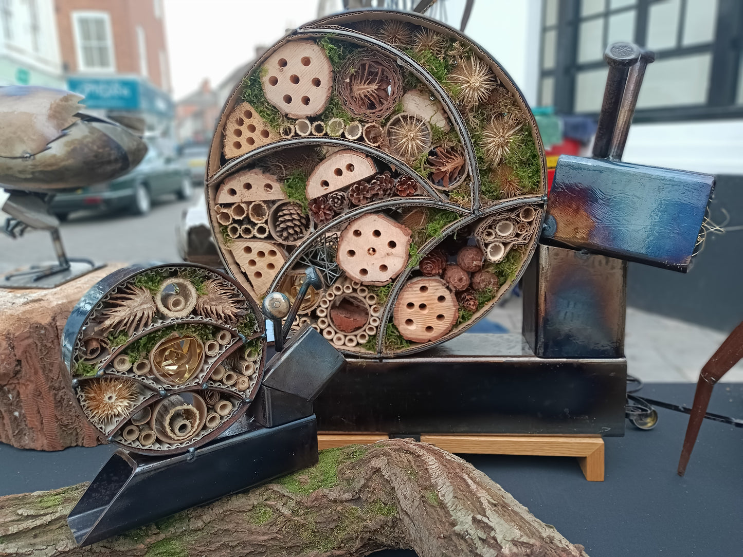 Leah the Snail - Land