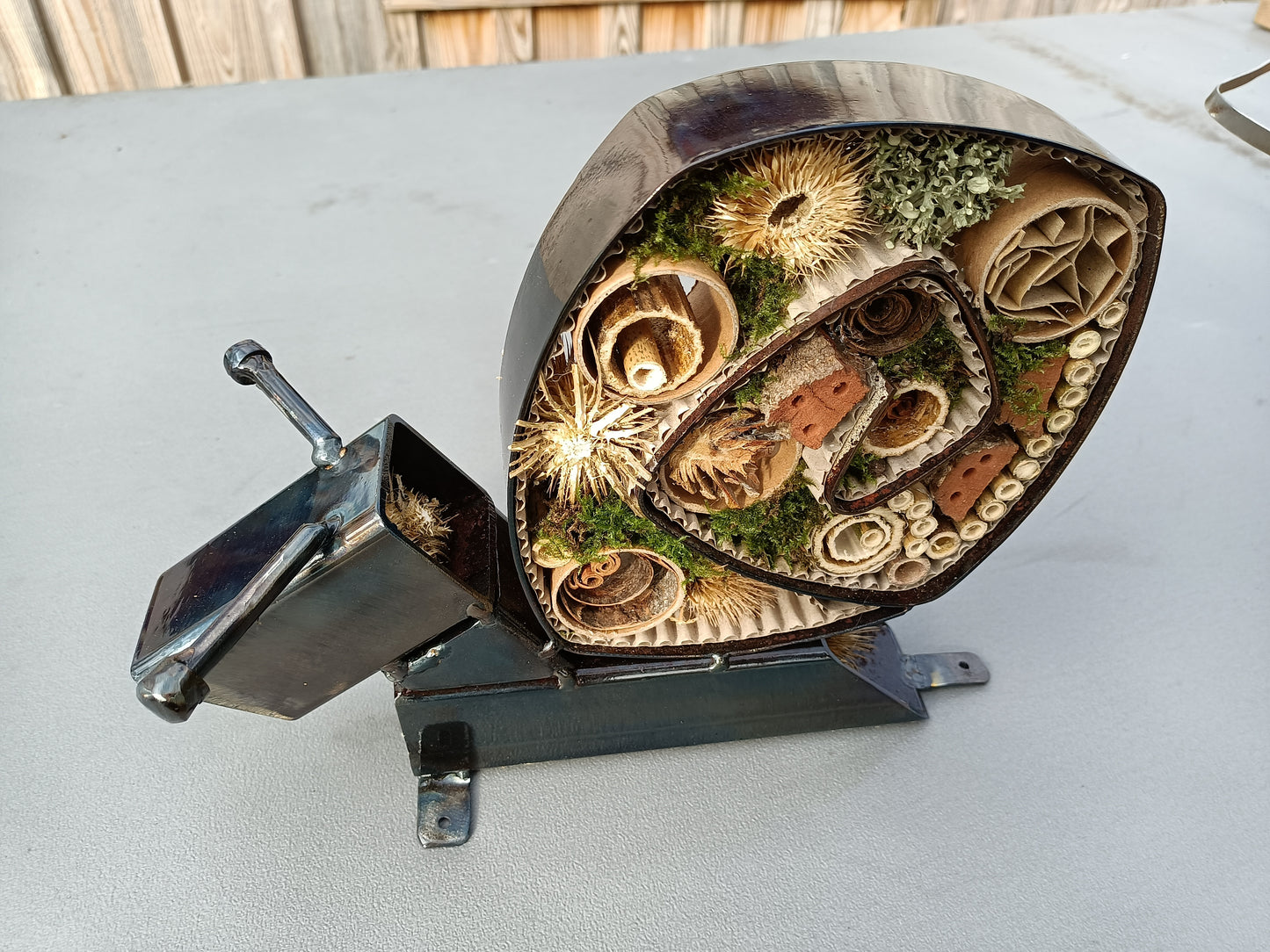 Leah the Snail - Land