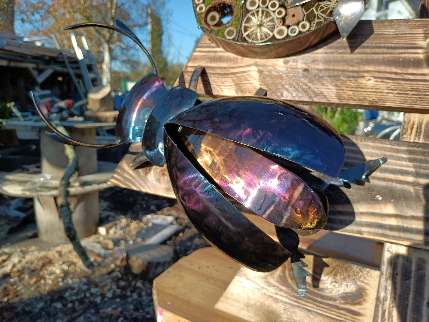 Lucas the Stag Beetle - Land