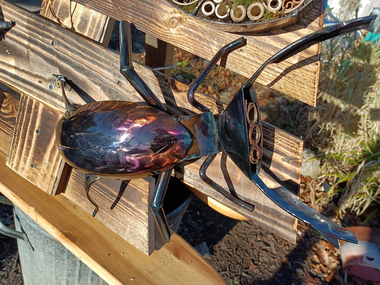 Lucas the Stag Beetle - Land