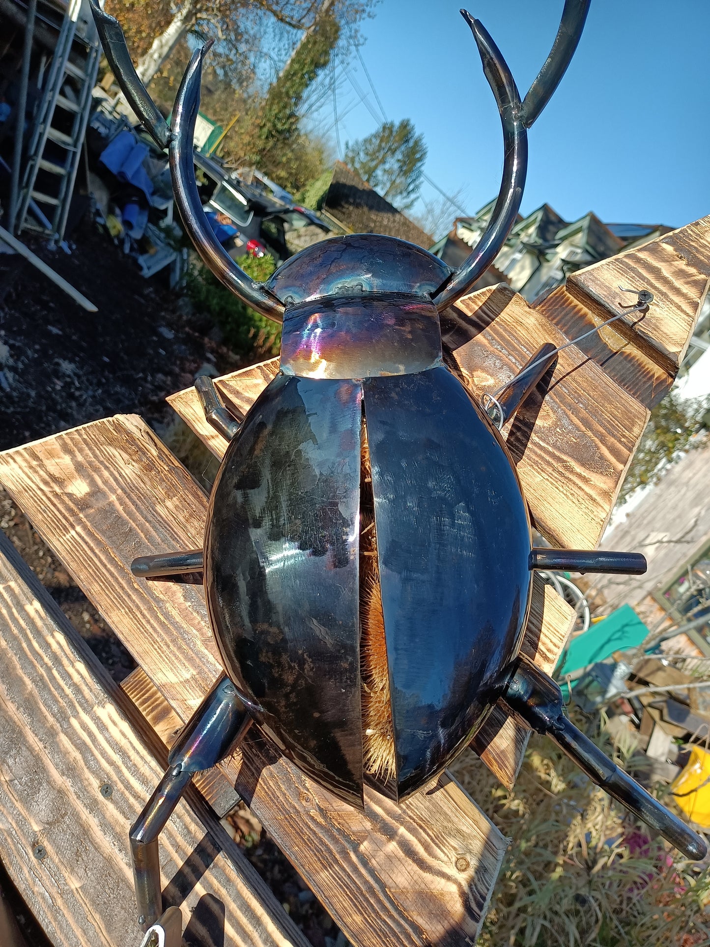 Lucas the Stag Beetle - Land