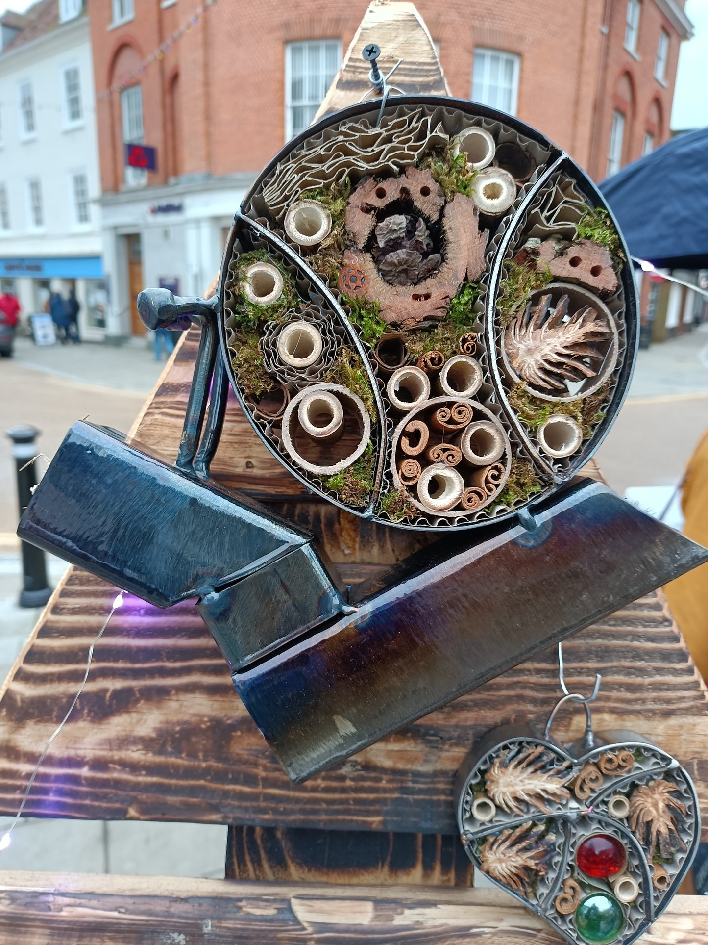 Leah the Snail - Land