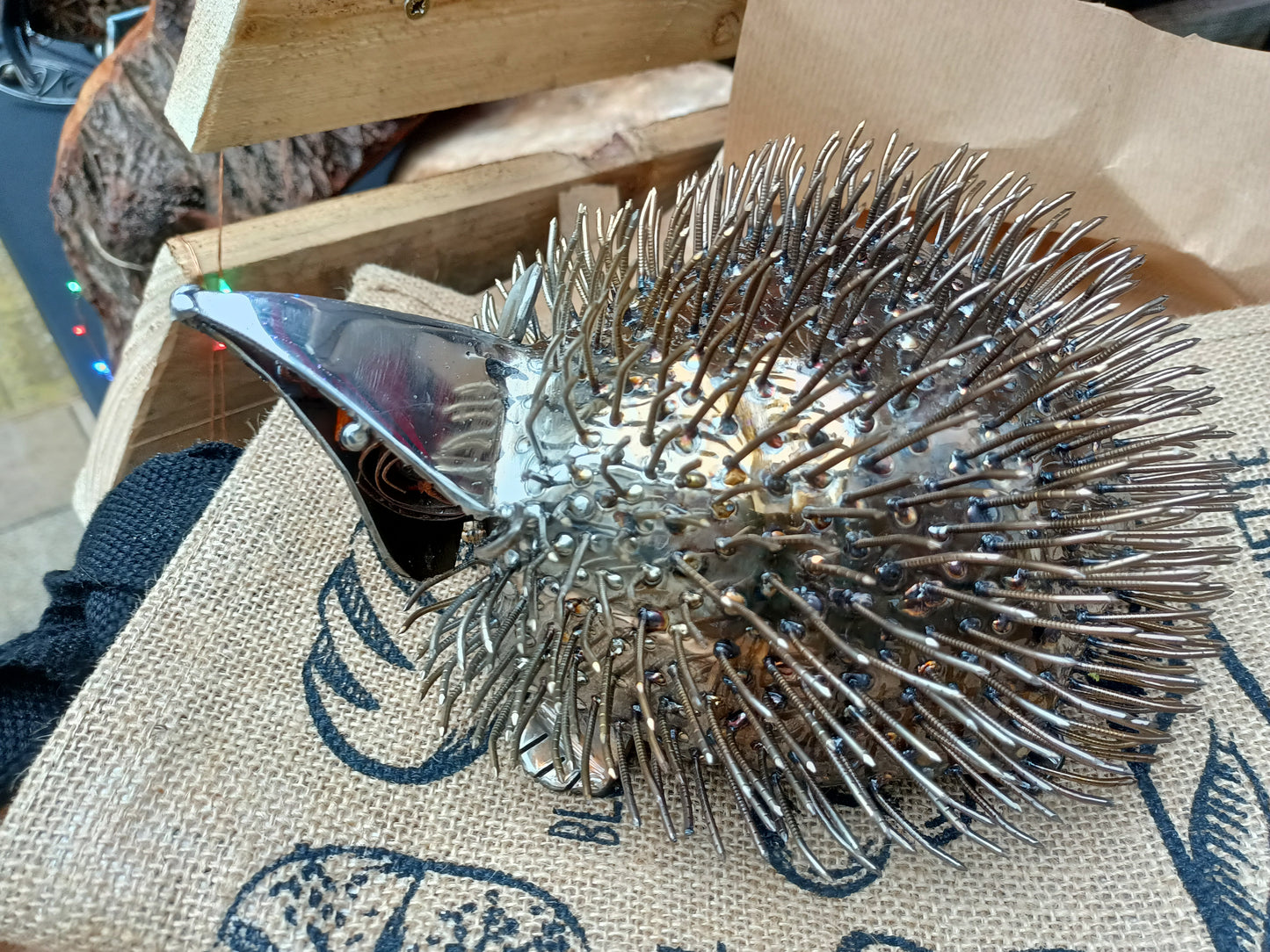 Erin the hedgehog - Land