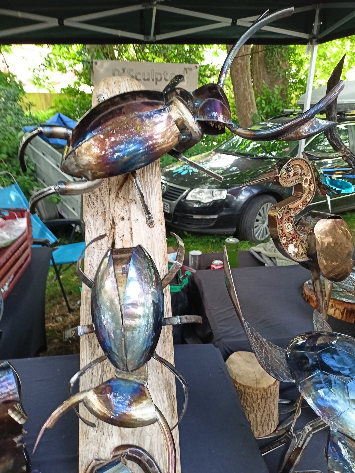 Lucas the Stag Beetle - Land