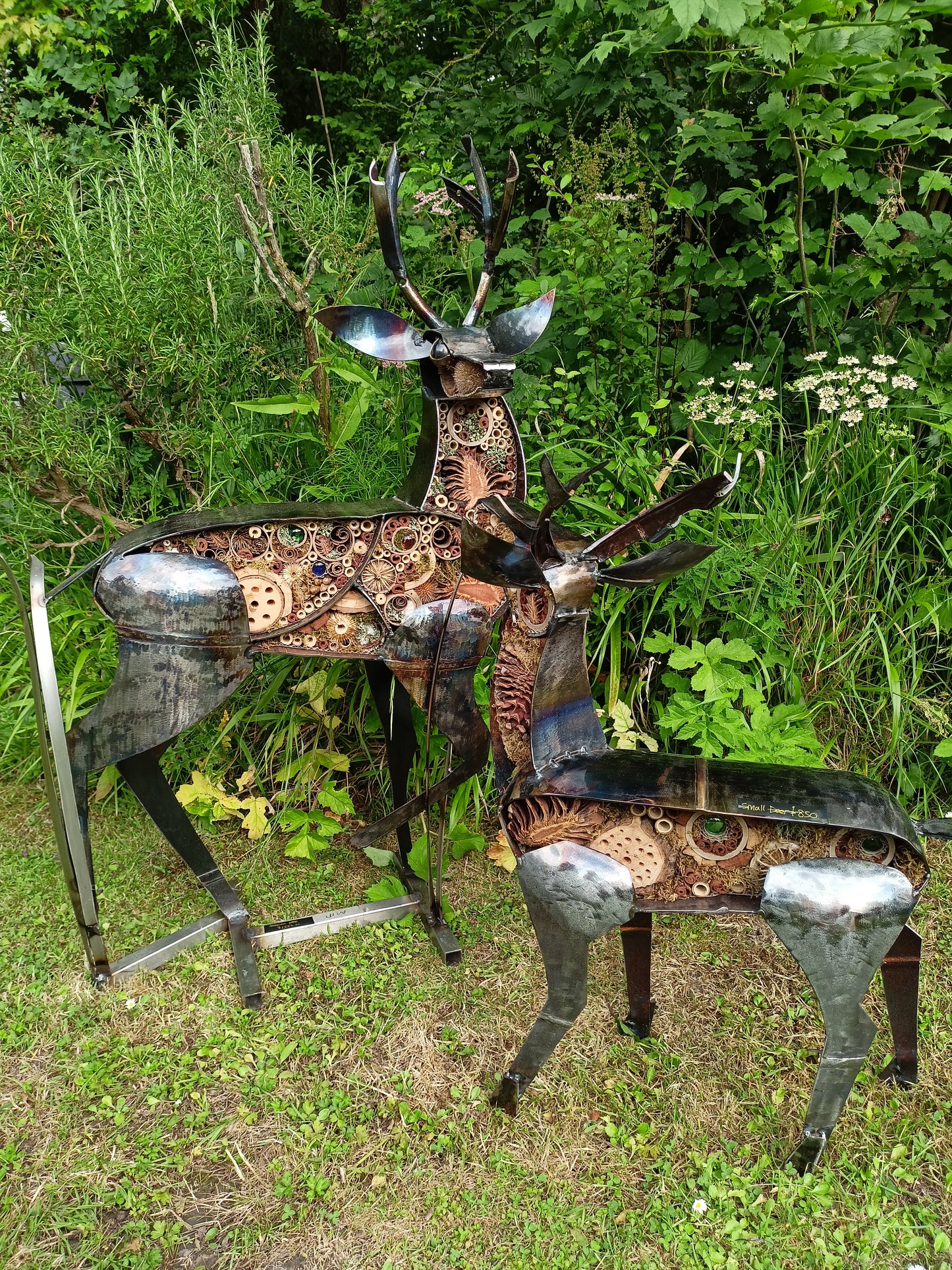 Small Deer - Land