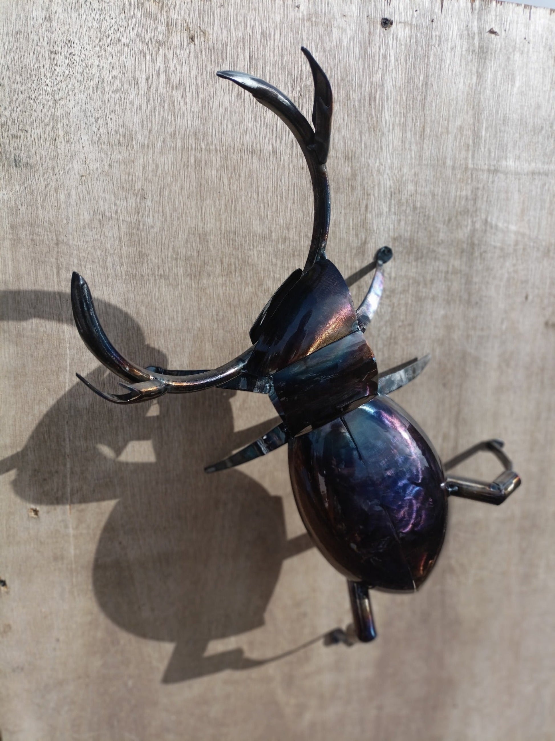 Large Stag Beetle