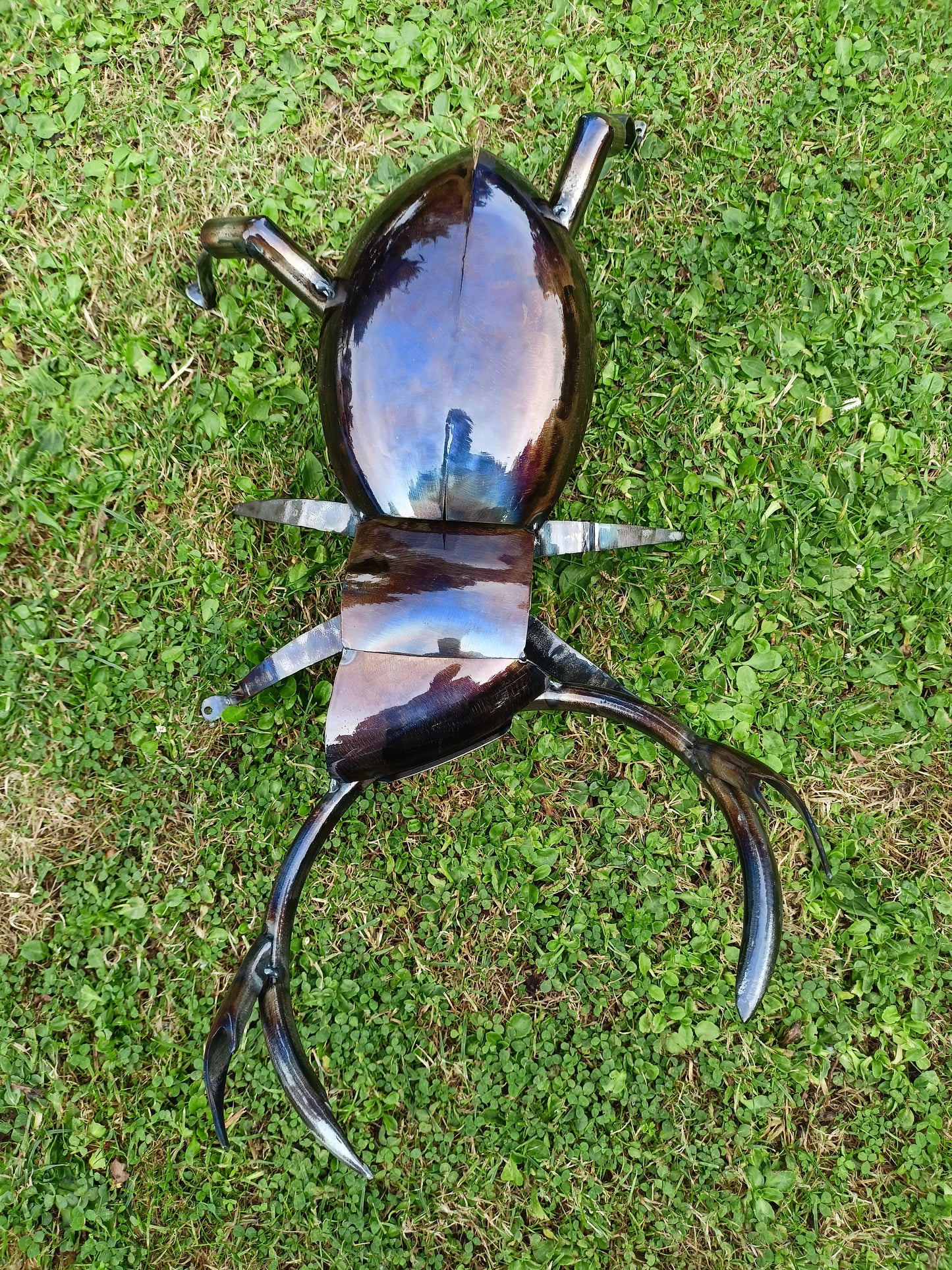 Lucas the Stag Beetle - Land