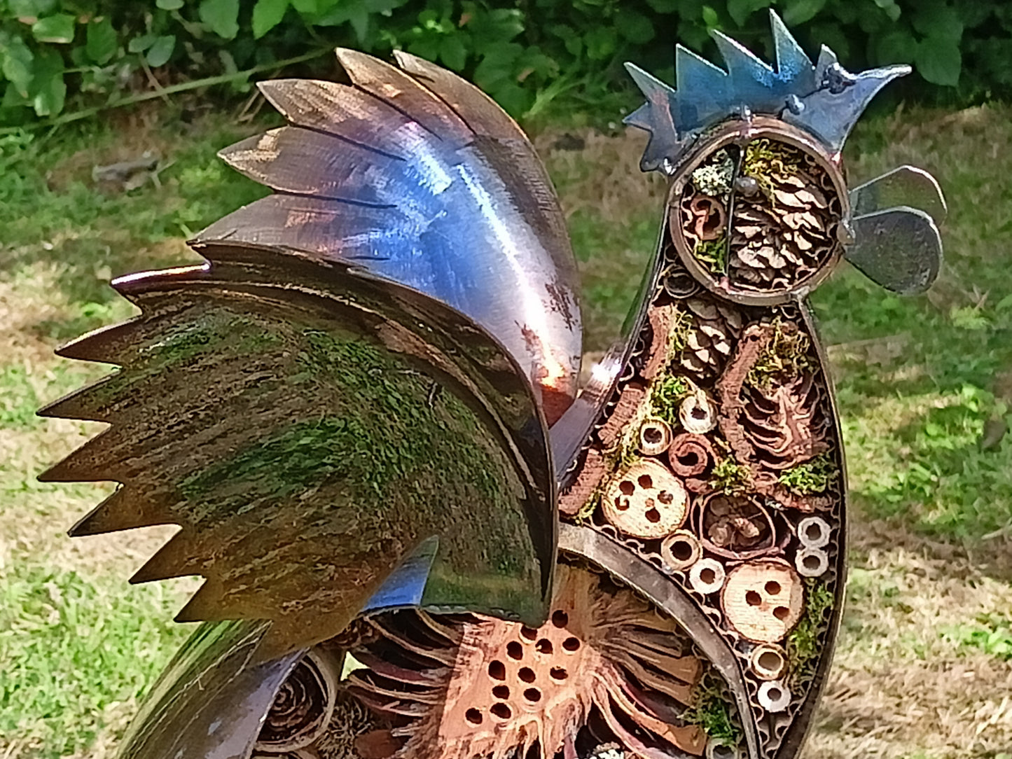 Paula the Chicken - Air