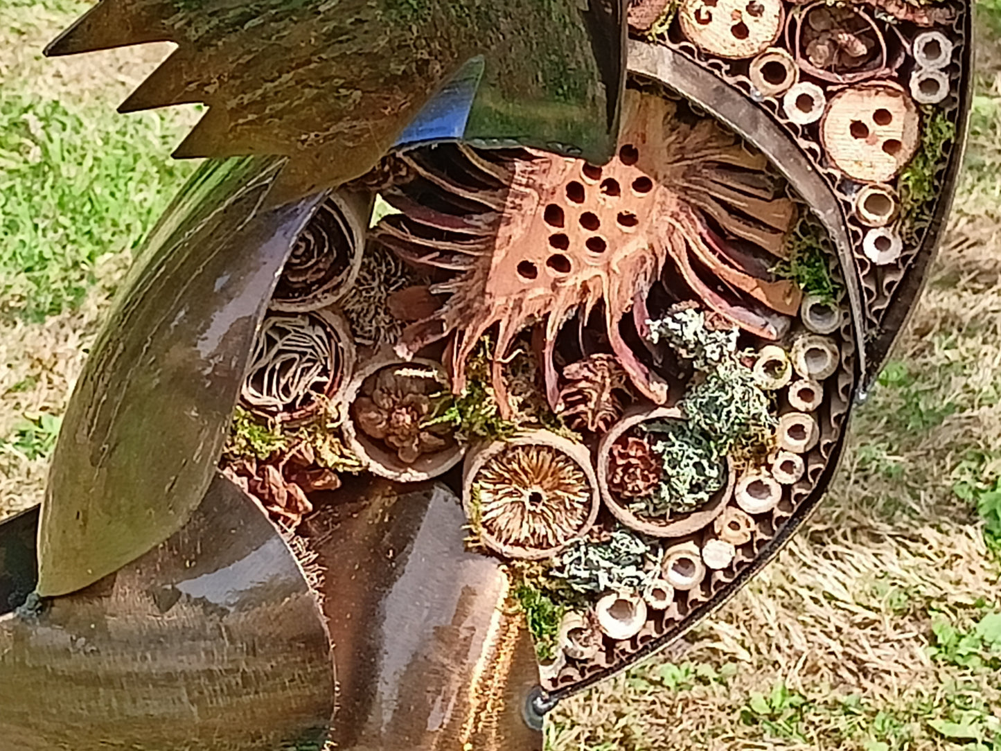 Paula the Chicken - Air