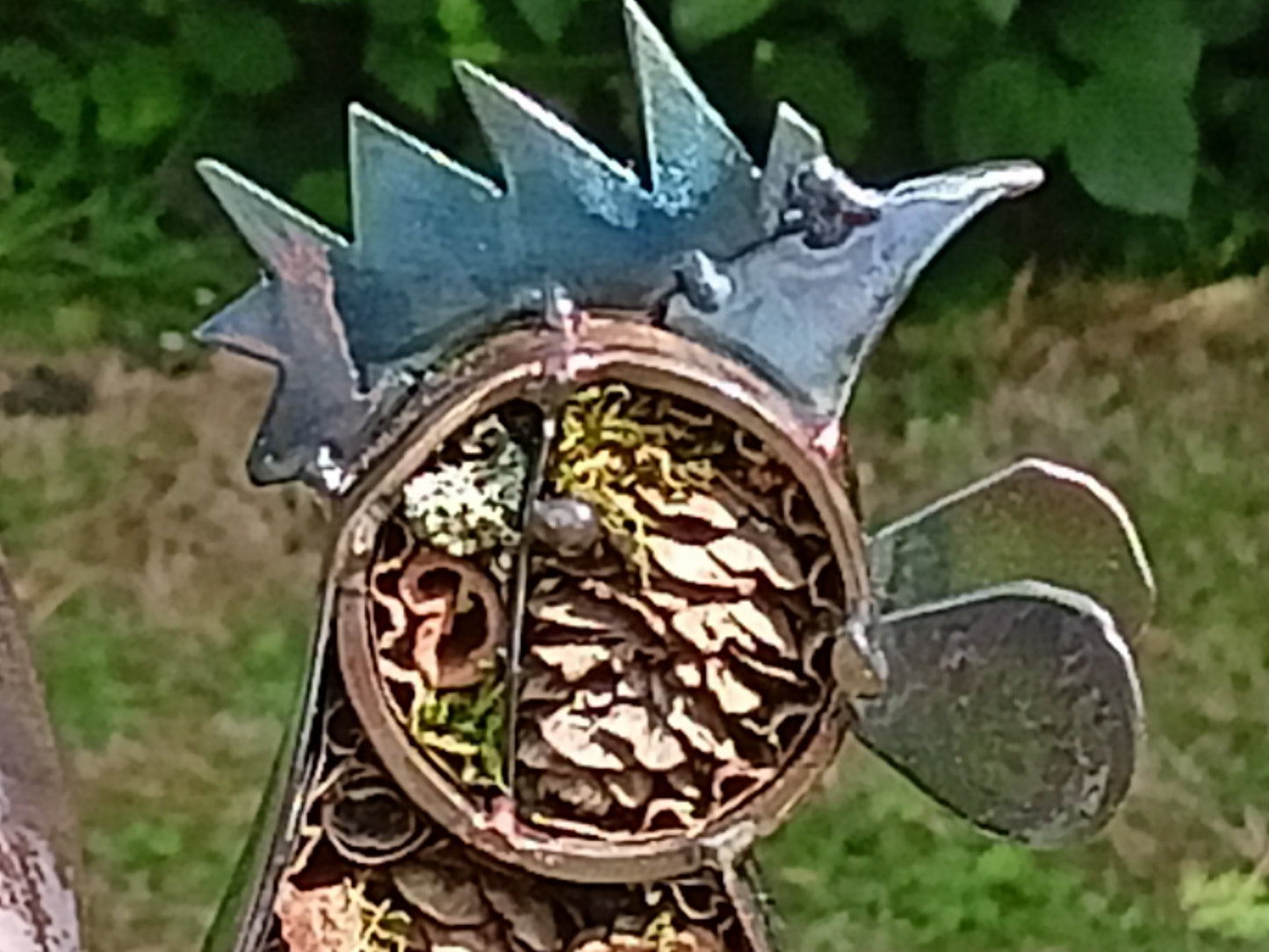 Paula the Chicken - Air