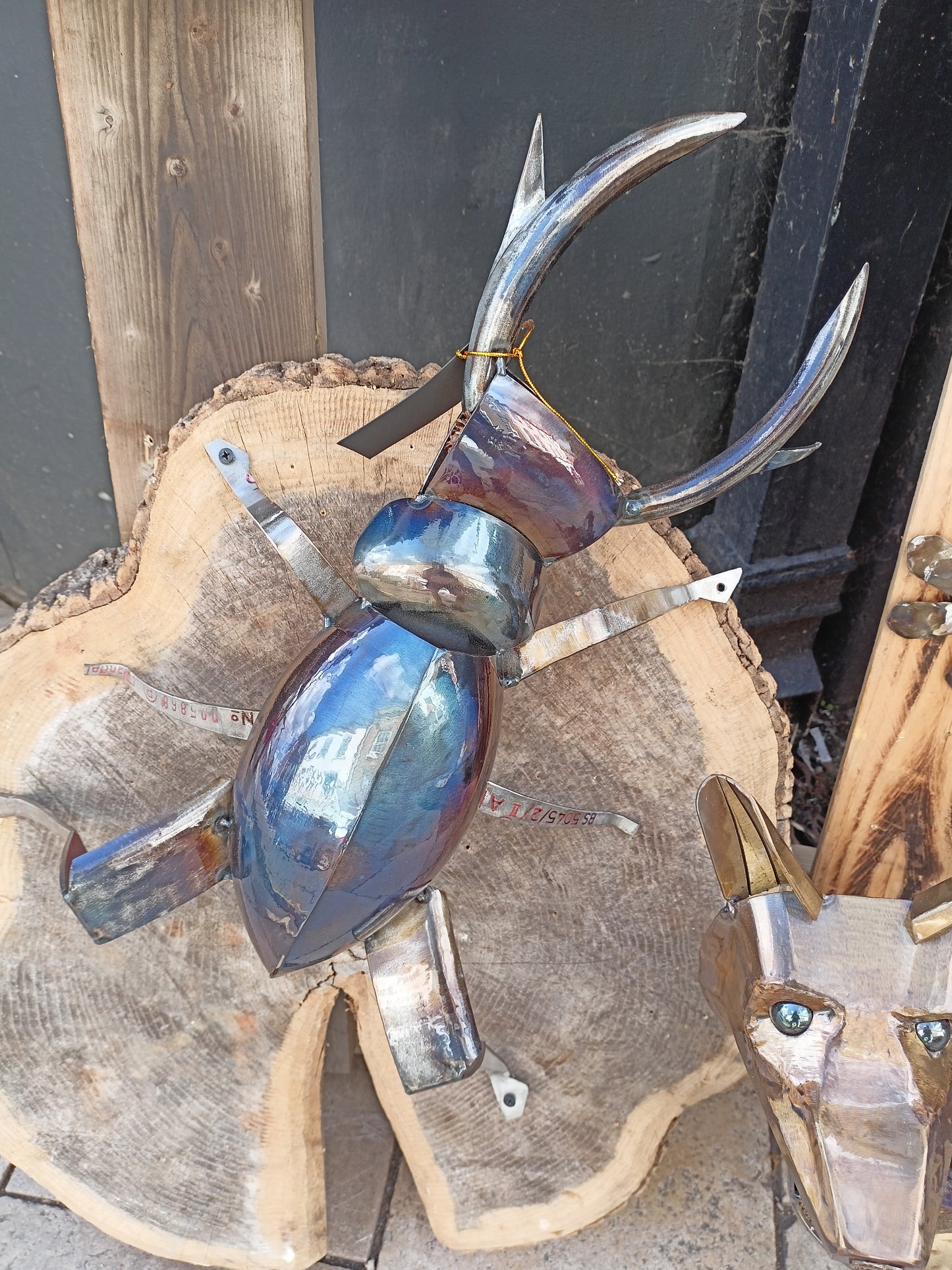 Lucas the Stag Beetle - Land