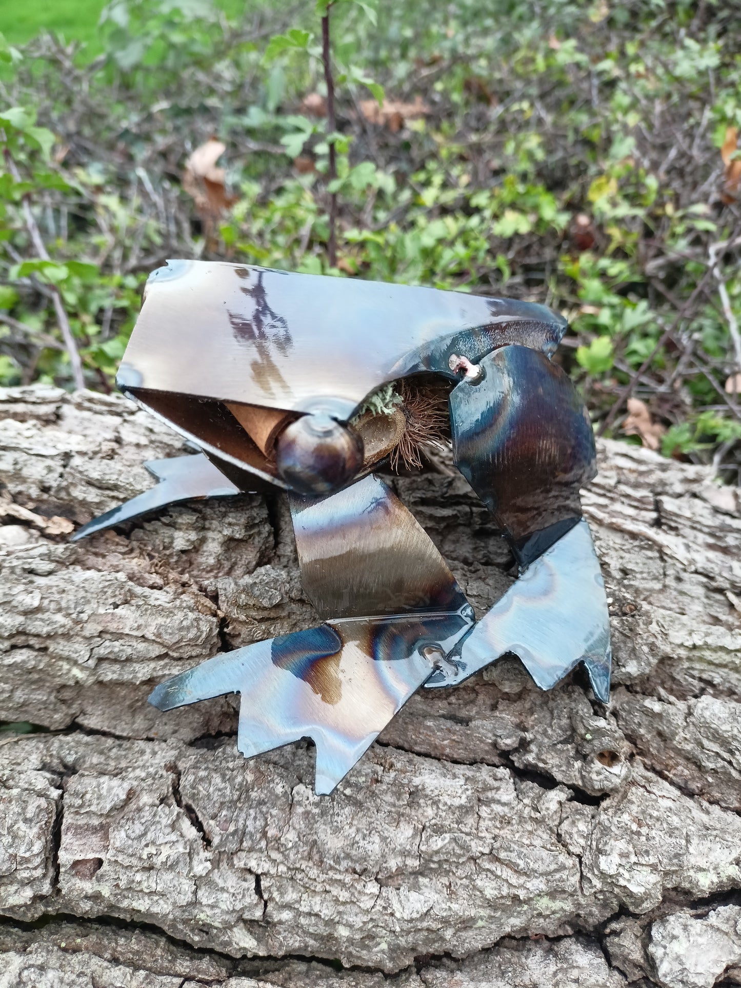 Rani the Frog - Water