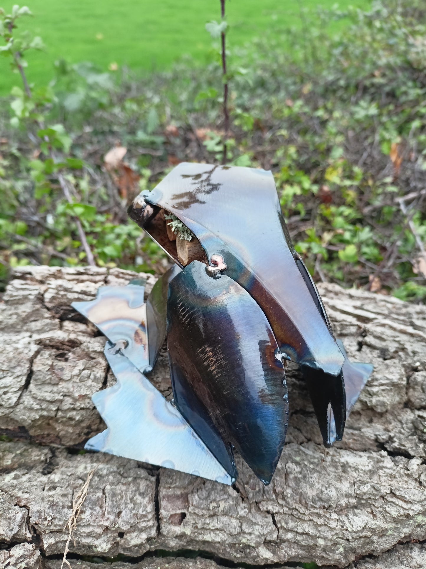 Rani the Frog - Water