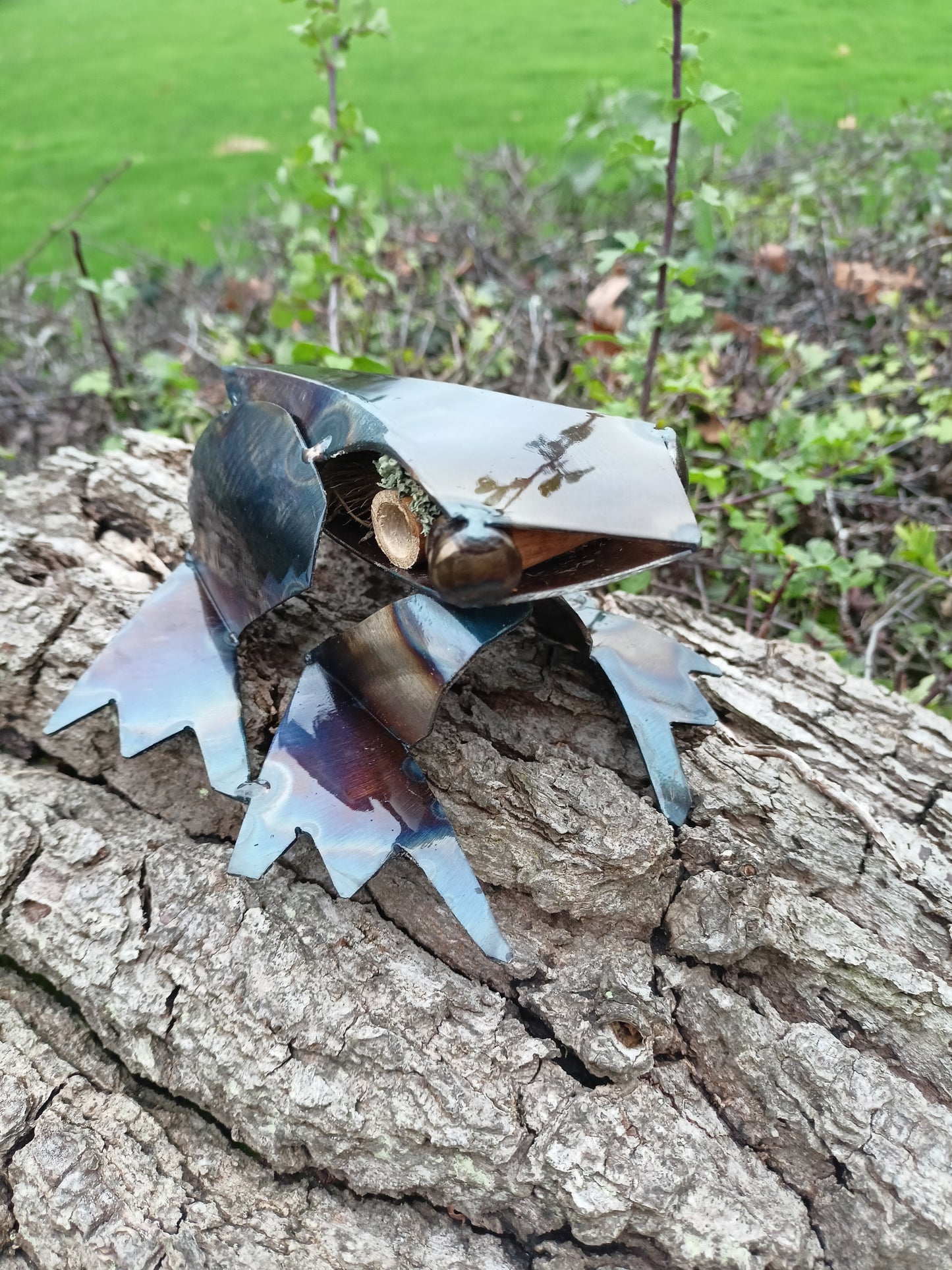 Rani the Frog - Water