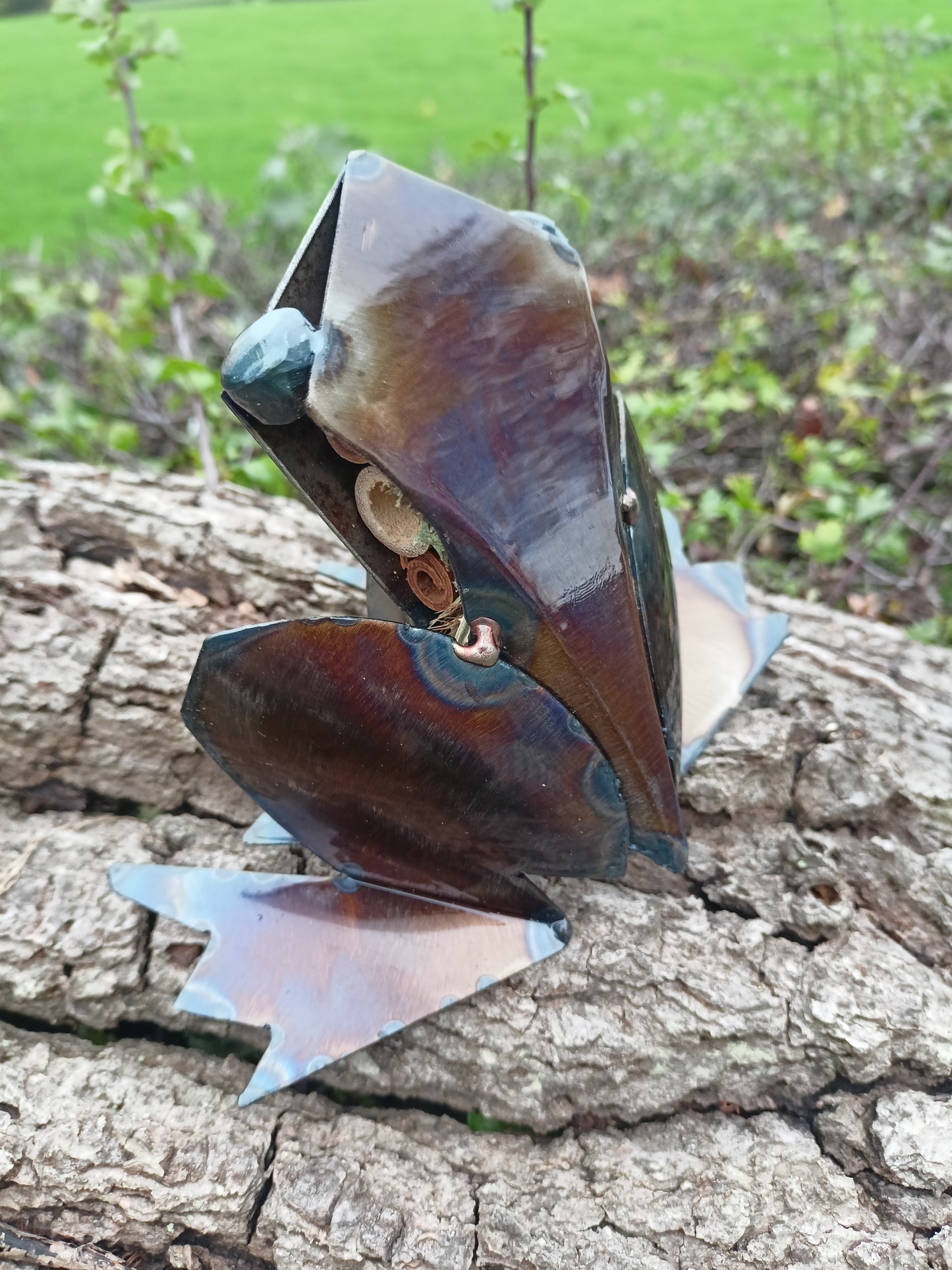 Rani the Frog - Water