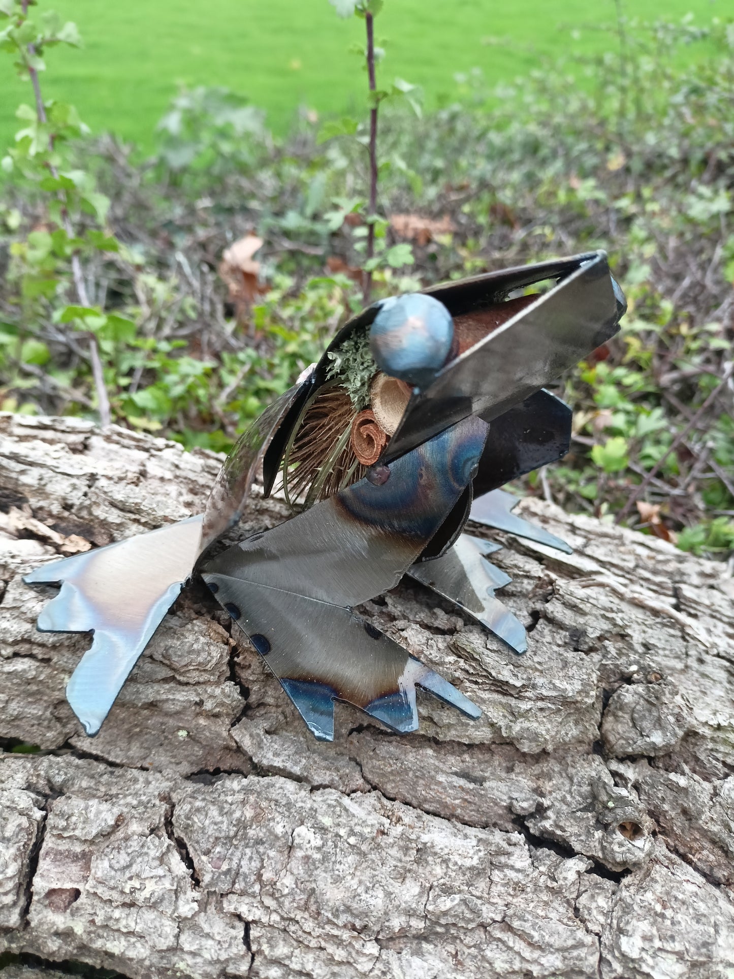 Rani the Frog - Water