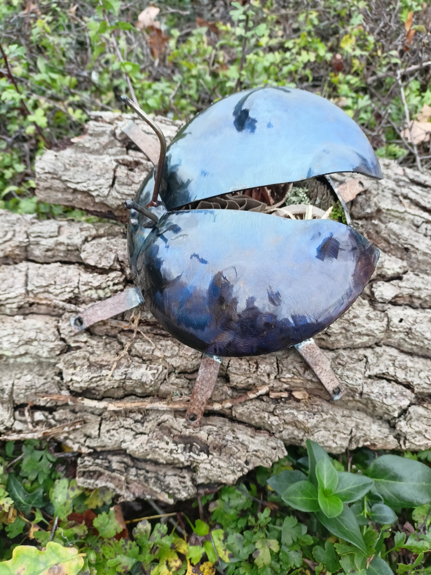 Metal ladybug