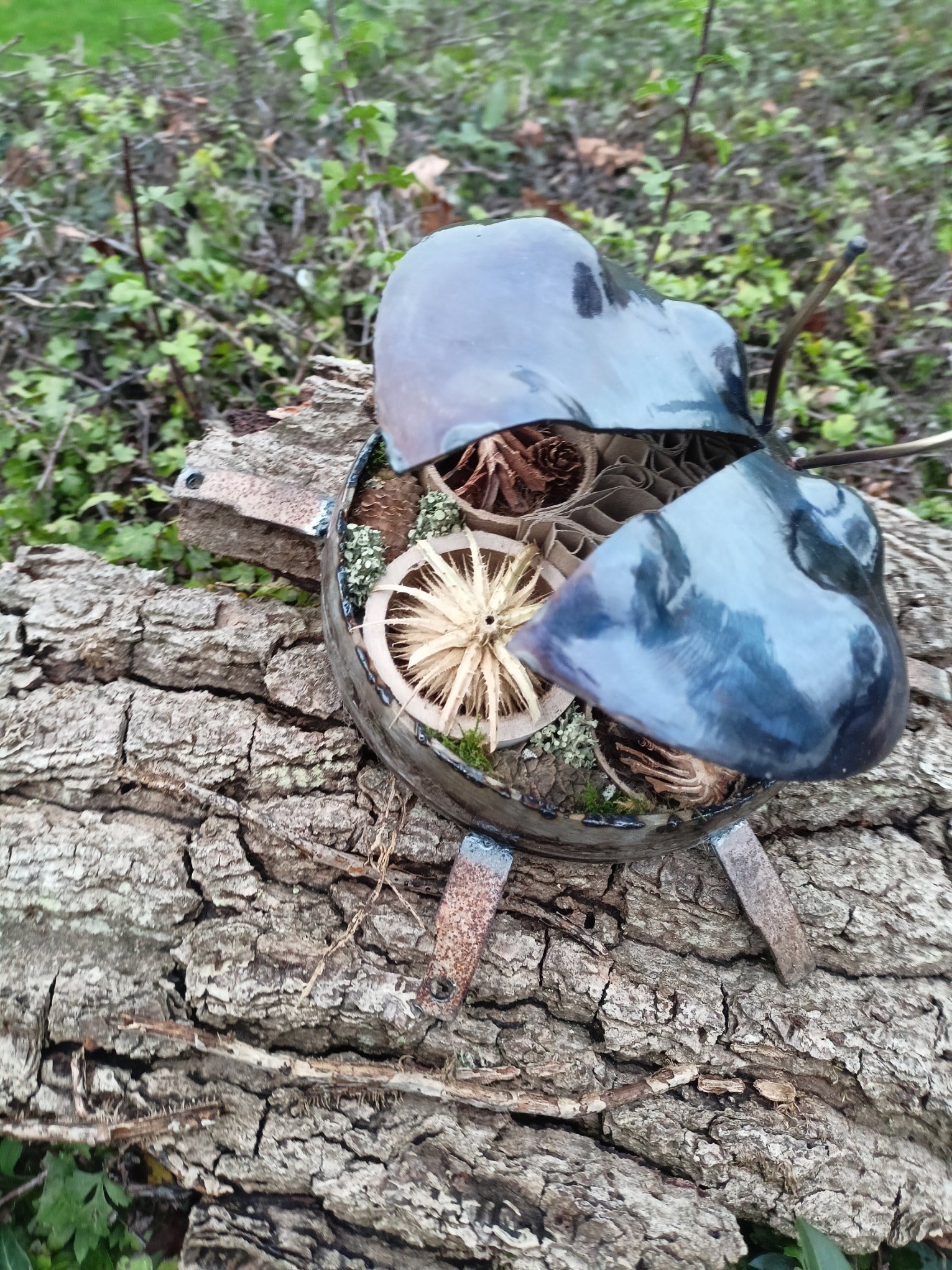 metal ladybug, wings open