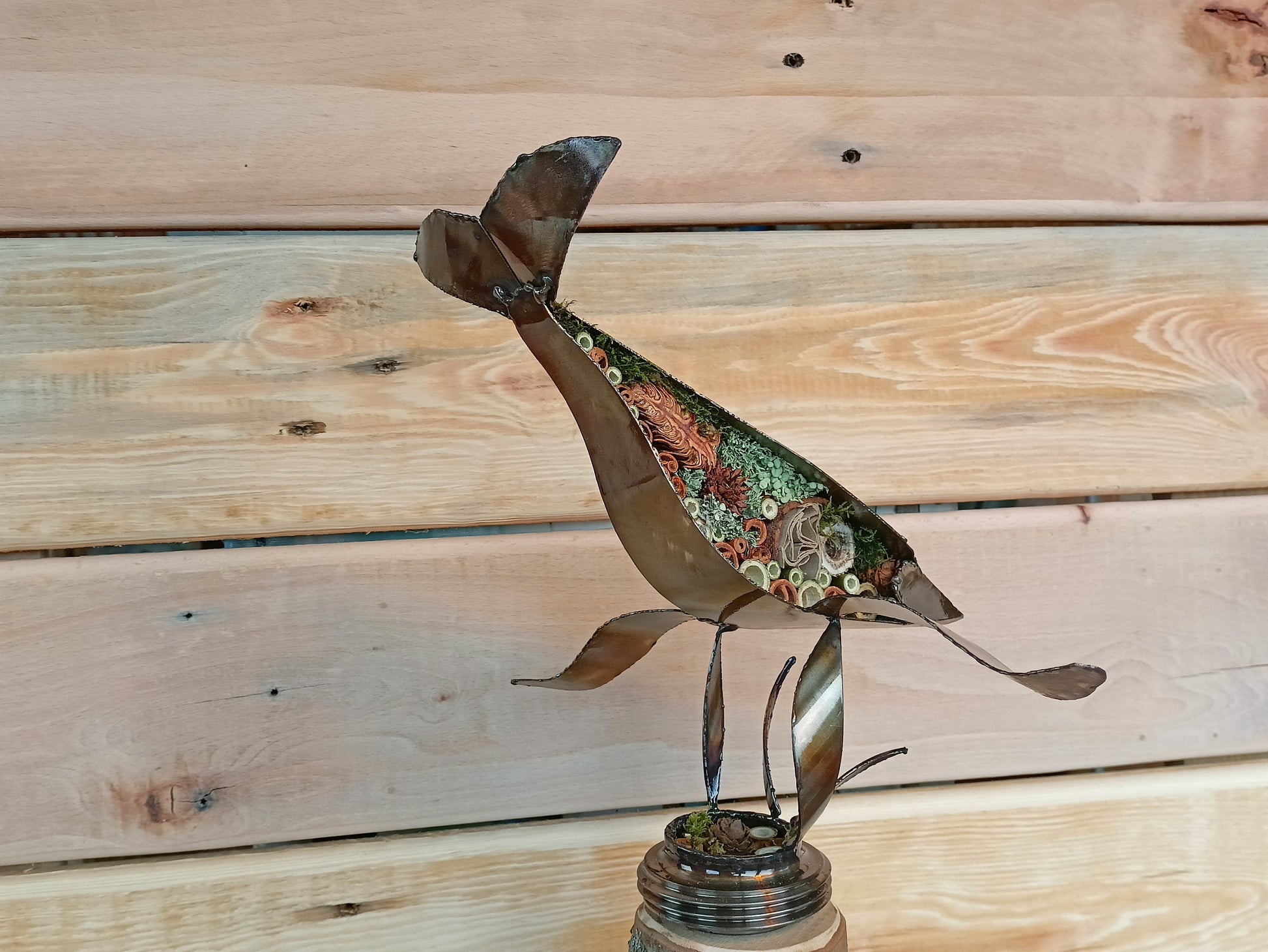 humpback whale filled with organics and swimming through the air.