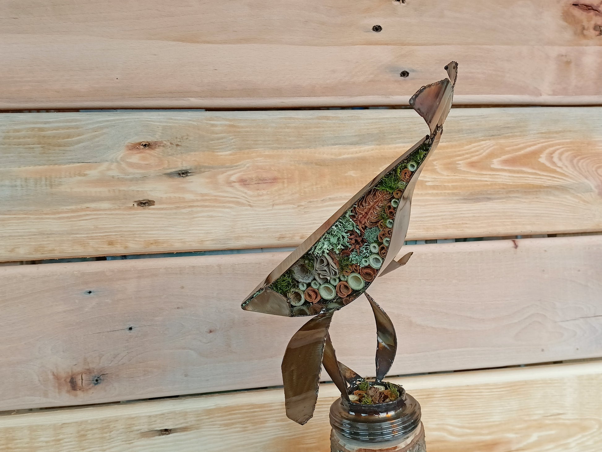 humpback whale filled with organics and swimming through the air.