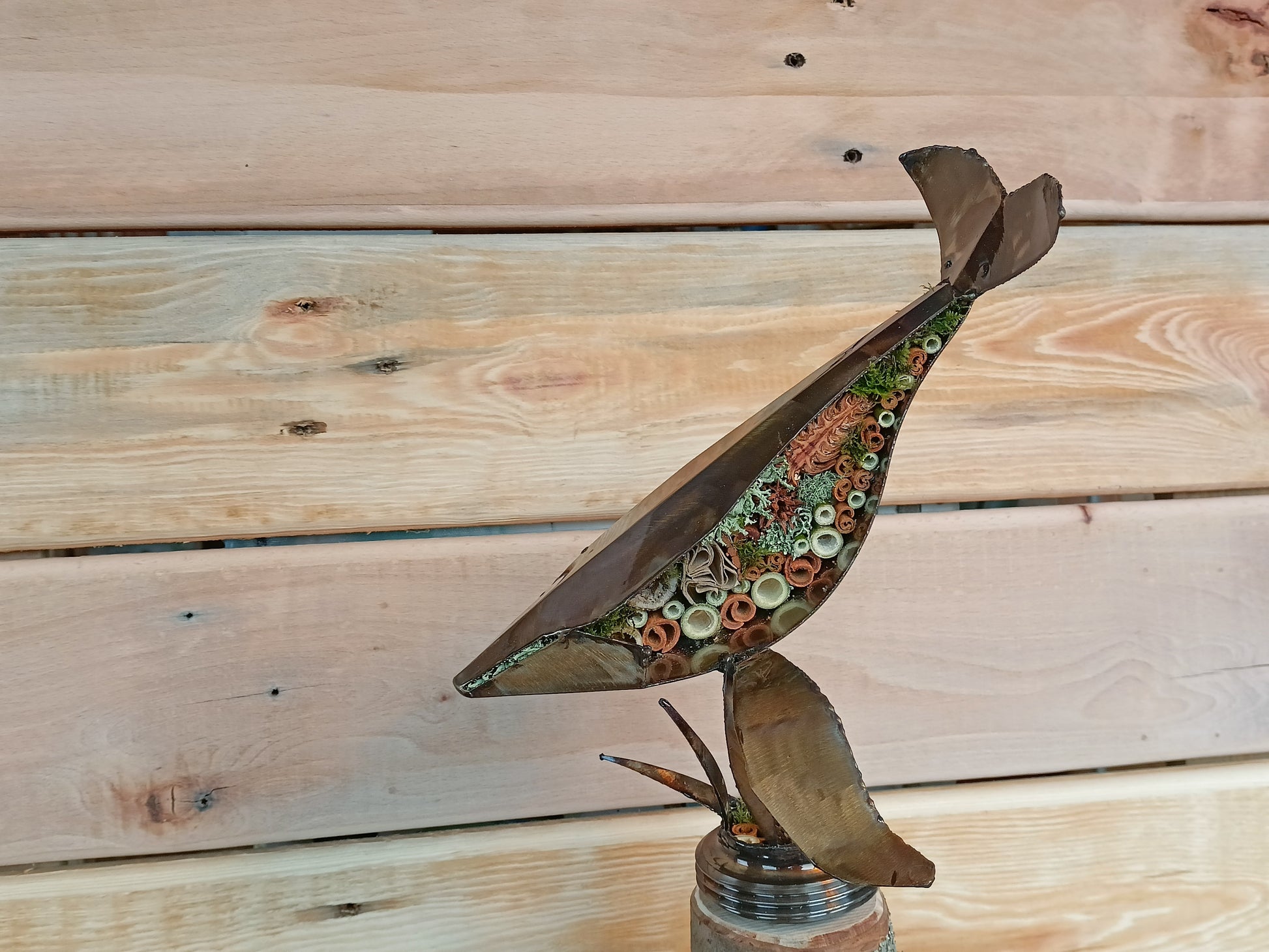 humpback whale filled with organics and swimming through the air.
