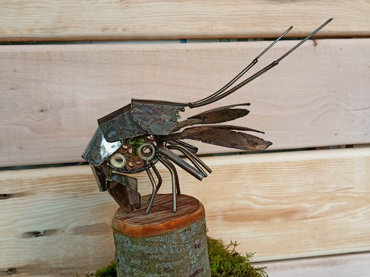 Curled Lobster inspired sculpture filled with organics. Made from Upcycled stainless steel