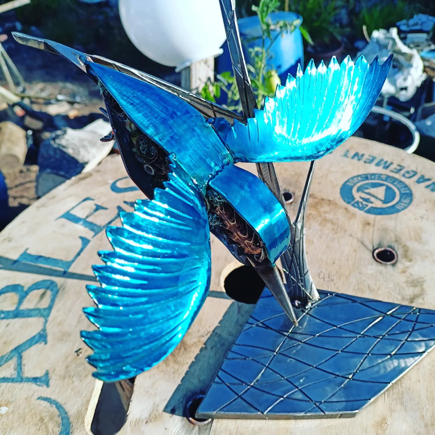 Haley the Kingfisher - Air