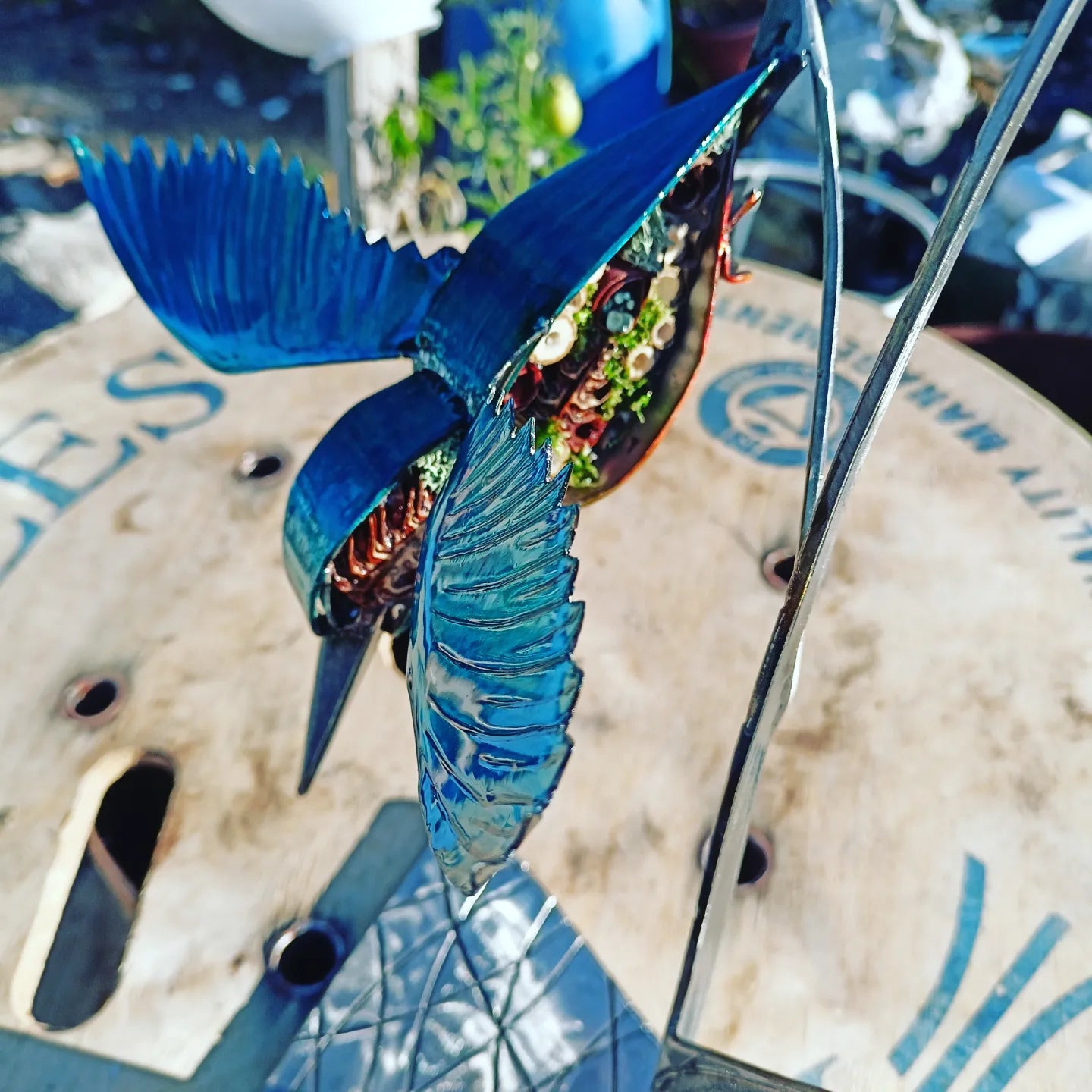 Haley the Kingfisher - Air