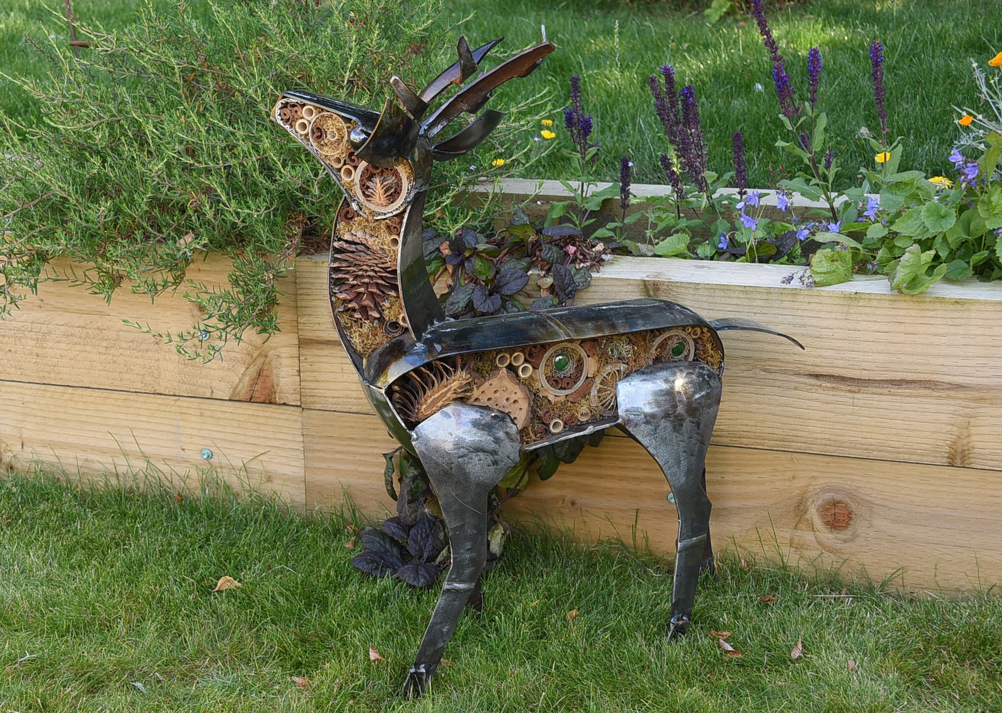 Small Deer - Land