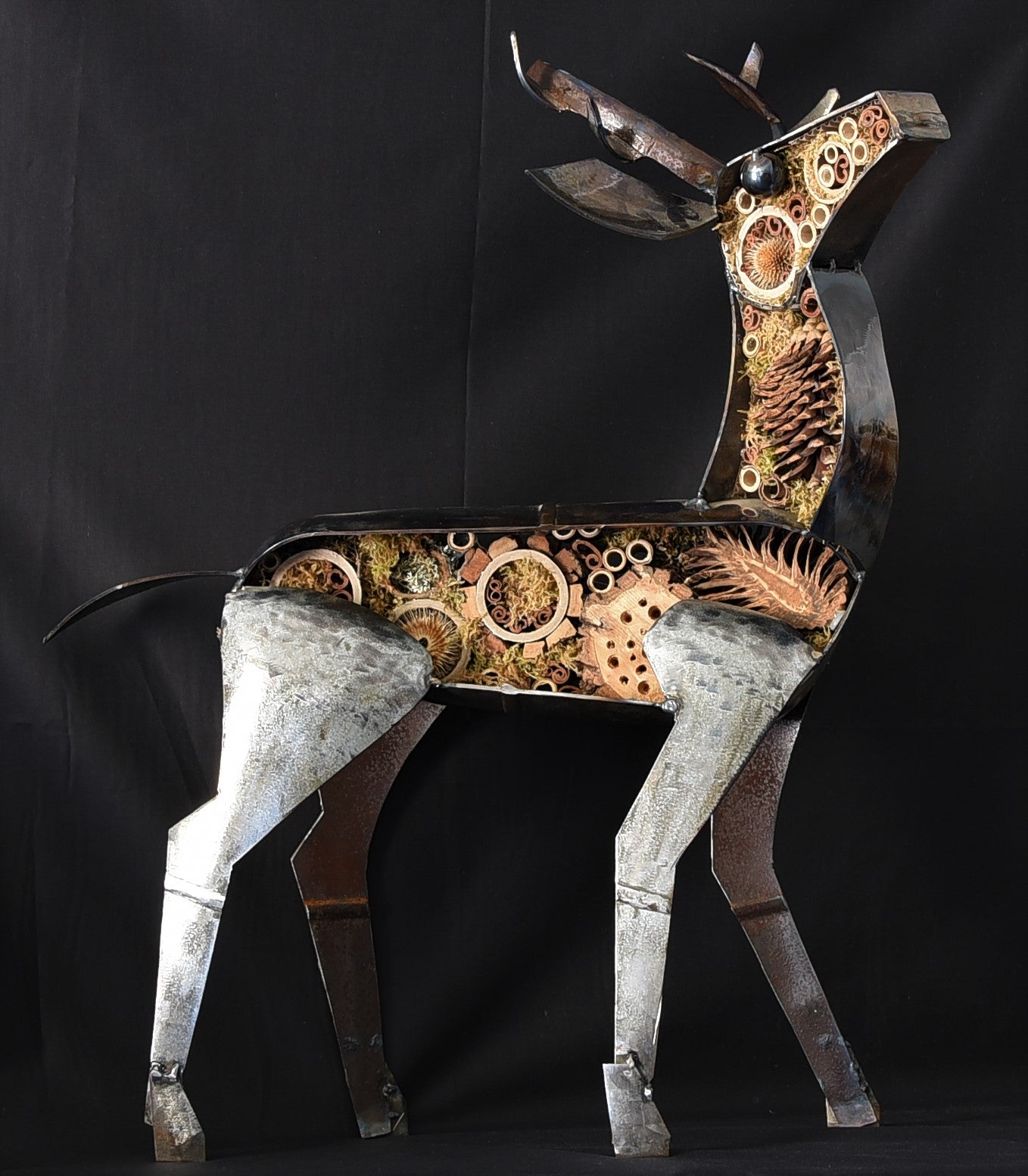 Small Deer - Land