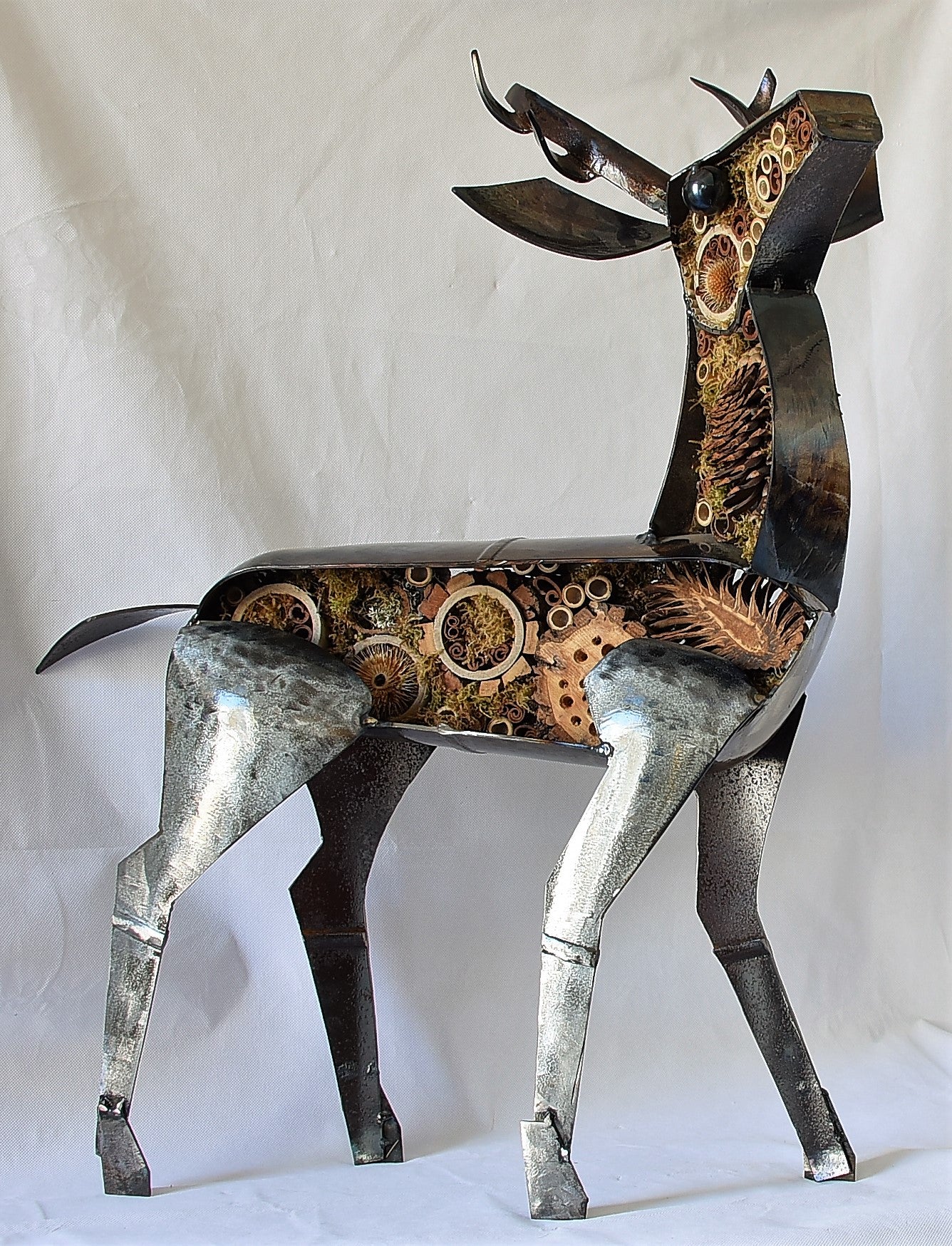 Small Deer - Land