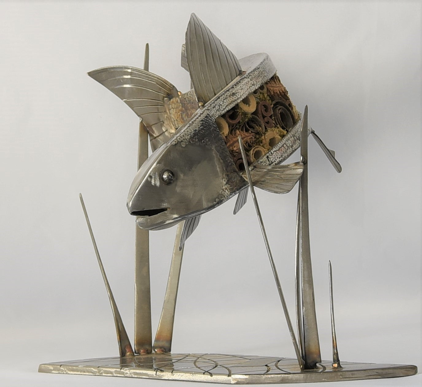 Thelma the Grayling - Water