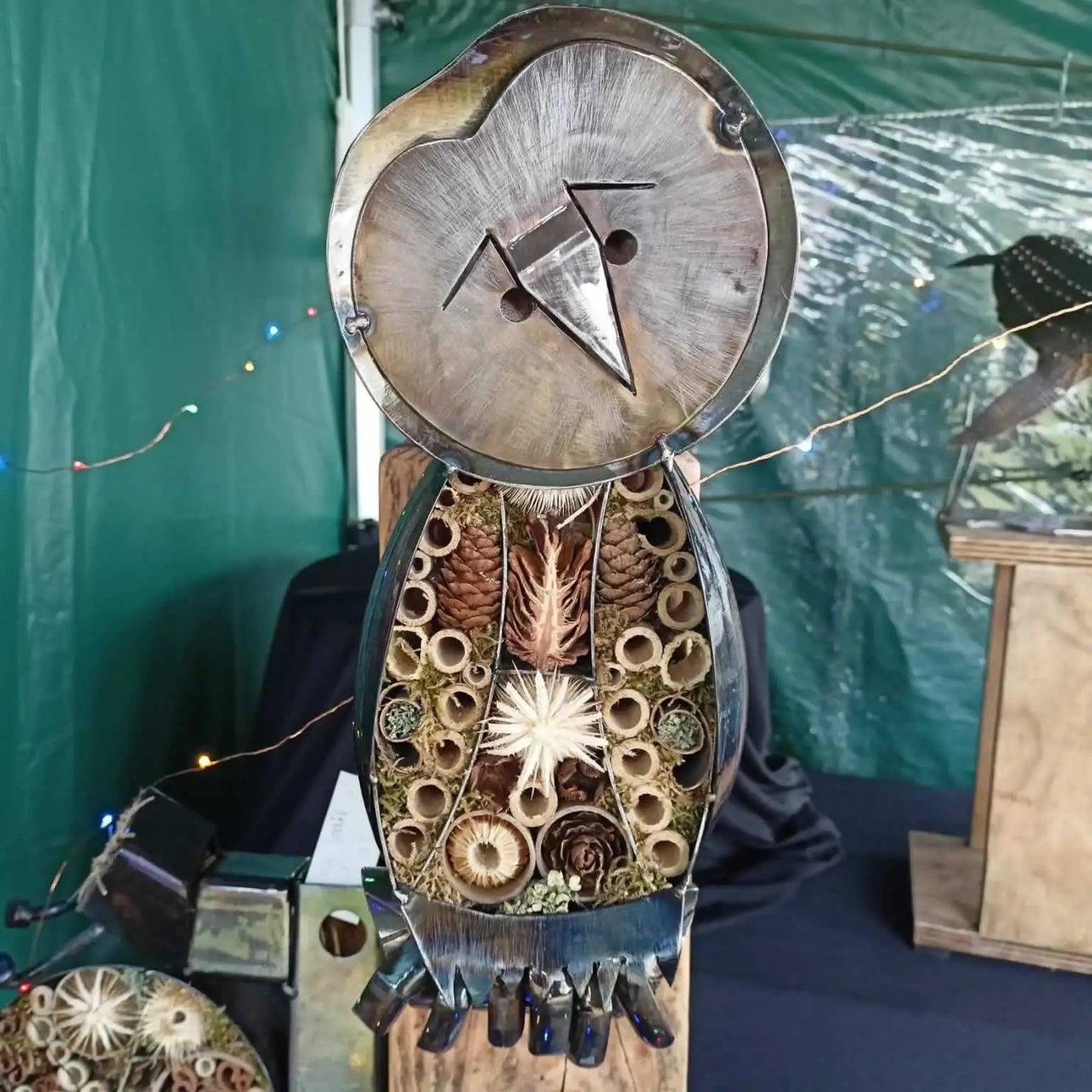 look at my special owl insect refuge