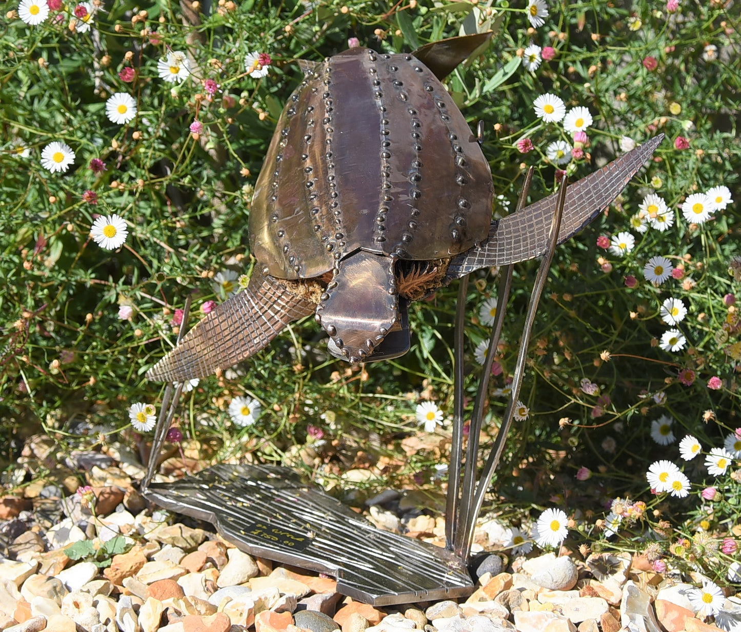 Leather Back Turtle - small water