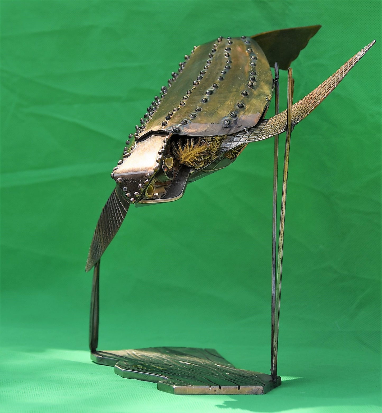 Leather Back Turtle - small water