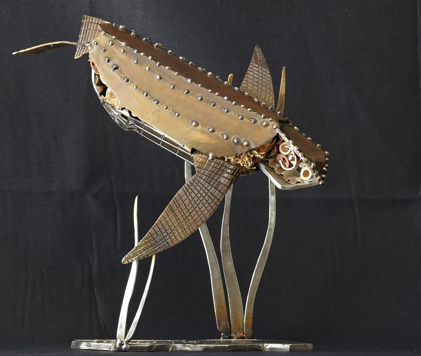 Leather Back Turtle - small water