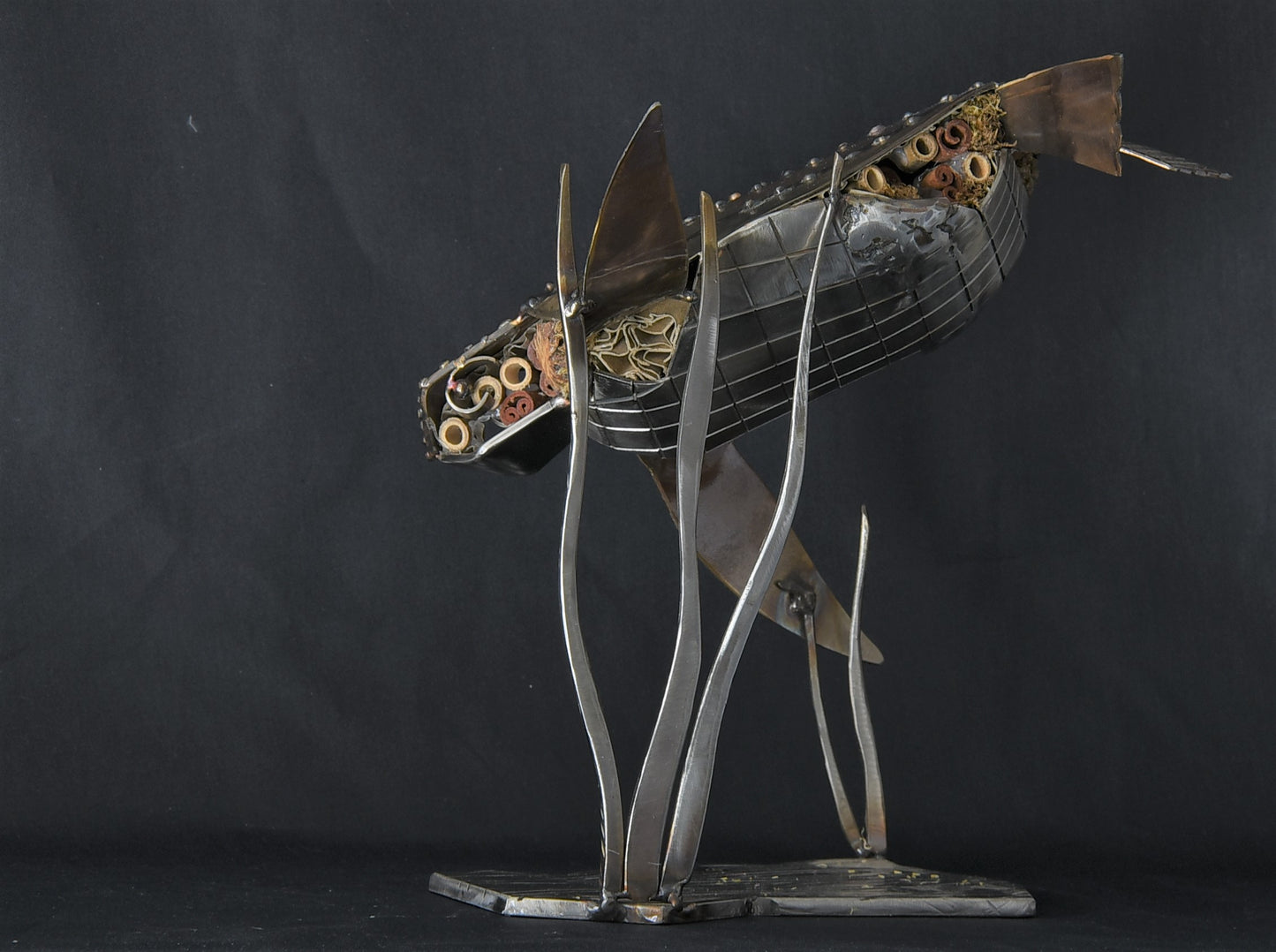 Leather Back Turtle - small water