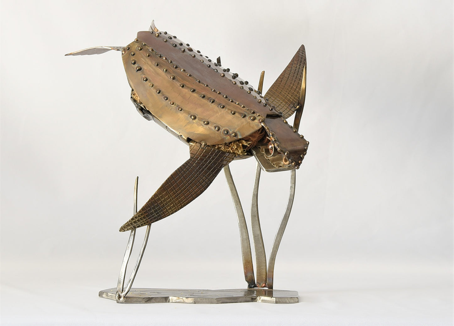 Leather Back Turtle - small water