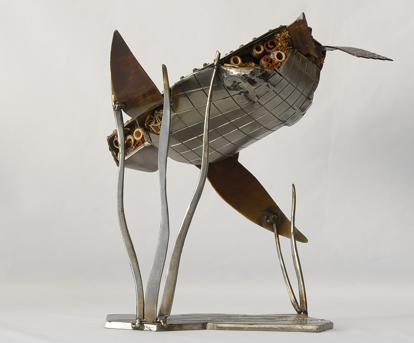 Leather Back Turtle - small water