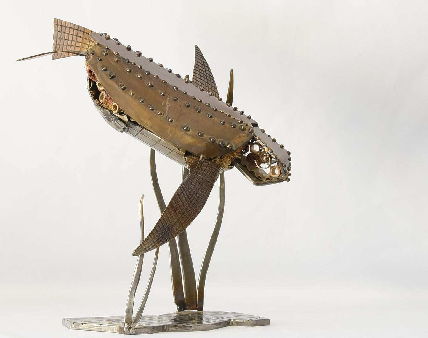 Leather Back Turtle - small water