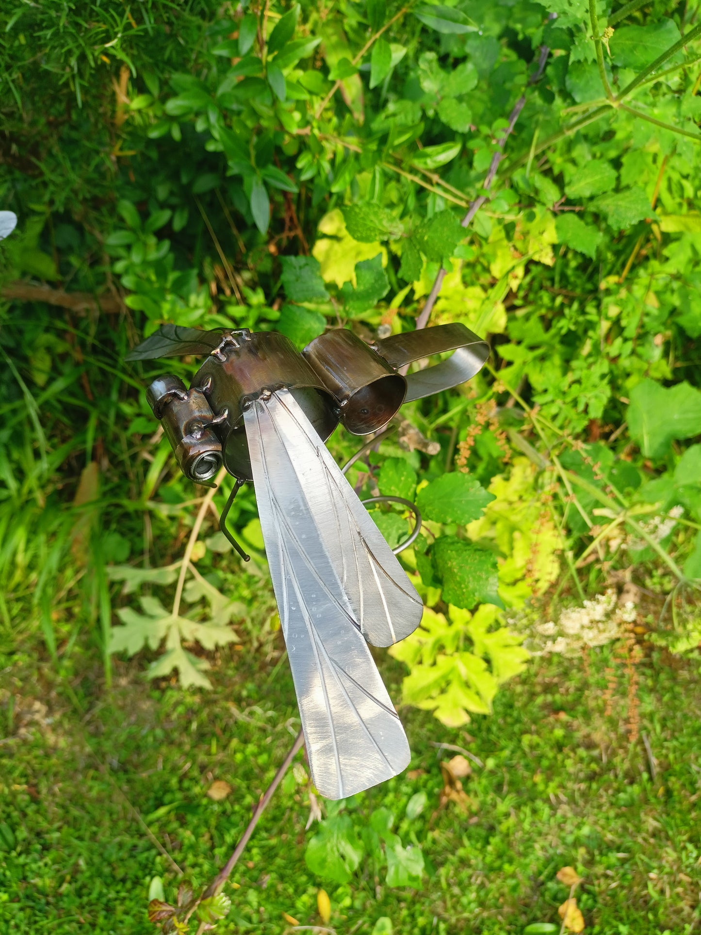 silver dragonfly wings down in flight