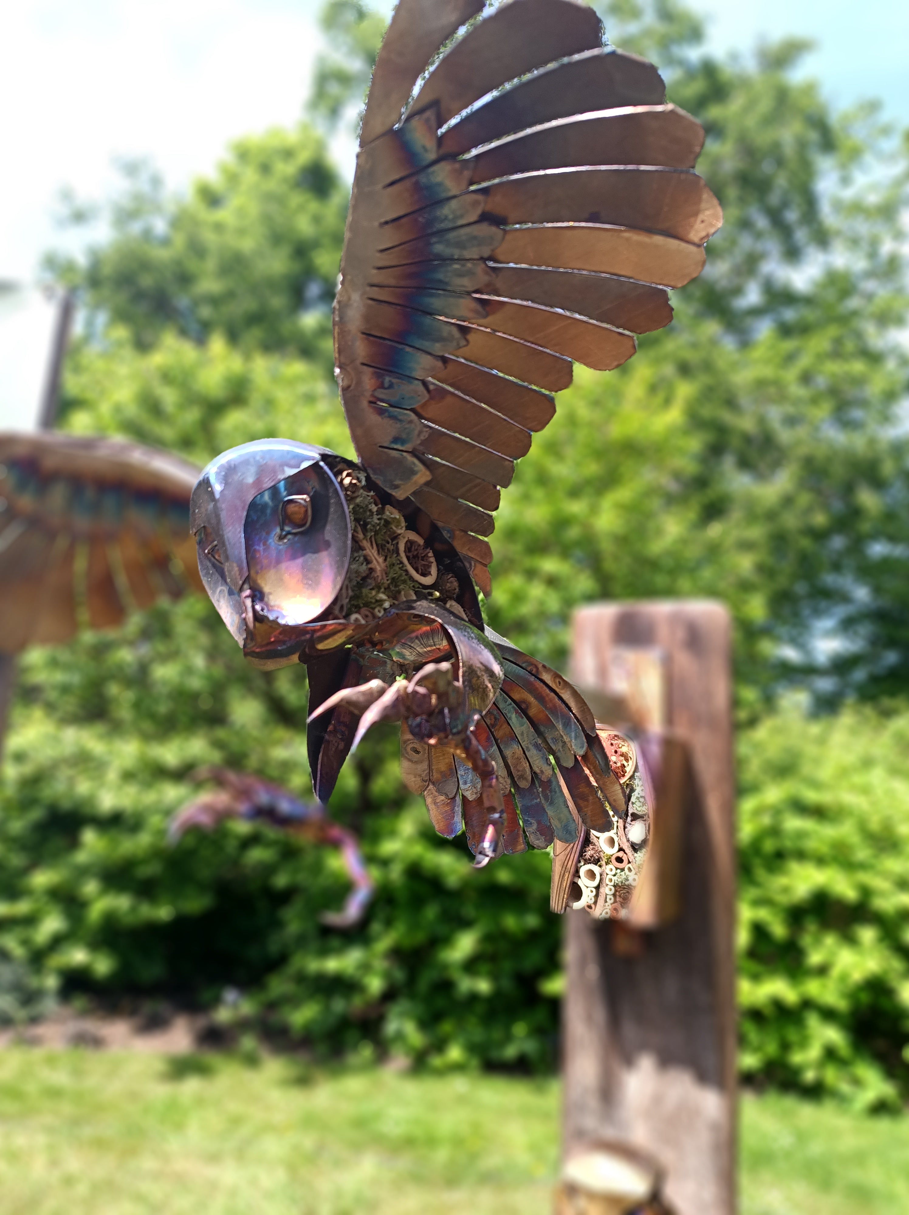 Striking owl